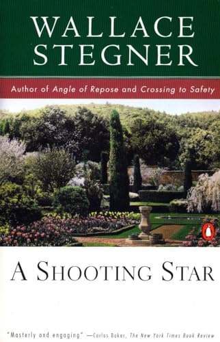 Imagen de archivo de A Shooting Star a la venta por SecondSale