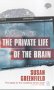 9780140264913: The Private Life of the Brain (Penguin Press Science S.)