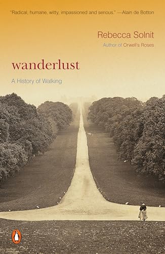 Stock image for Wanderlust: A History of Walking for sale by Goodwill Books