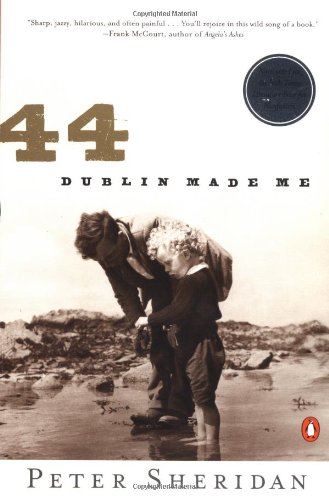 Stock image for 44: Dublin Made Me for sale by More Than Words