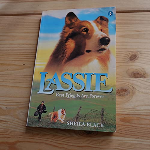 Stock image for Lassie (Puffin High Flyer) for sale by The Book Garden