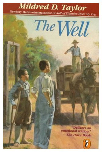 9780140380880: The Well: David's Story (Puffin Teenage Fiction S.)