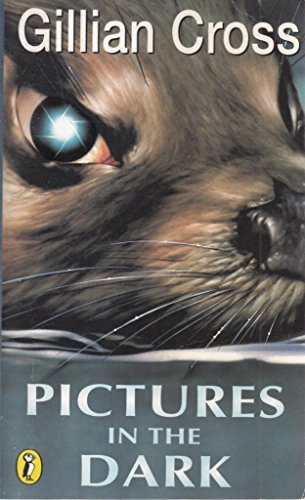 Stock image for Pictures in the Dark for sale by Better World Books
