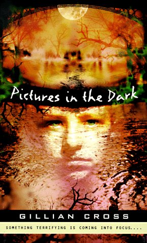 9780140389586: Pictures in the Dark (Puffin Novel)