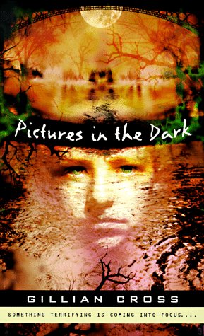 Stock image for Pictures in the Dark (Puffin Novel) for sale by Hawking Books