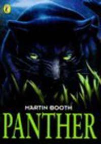 9780140389784: Panther (Surfers)