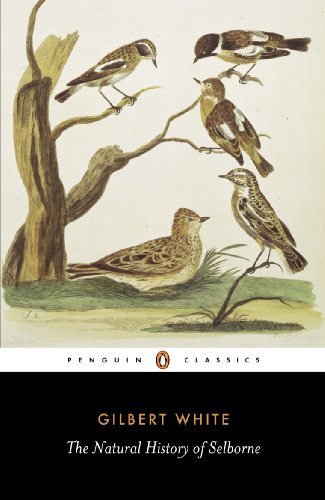 Stock image for The Natural History of Selborne (Penguin Classics) for sale by HPB-Diamond