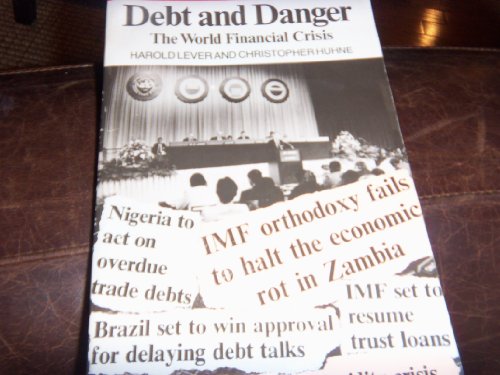 Stock image for Debt And Danger: The World Financial Crisis for sale by WorldofBooks