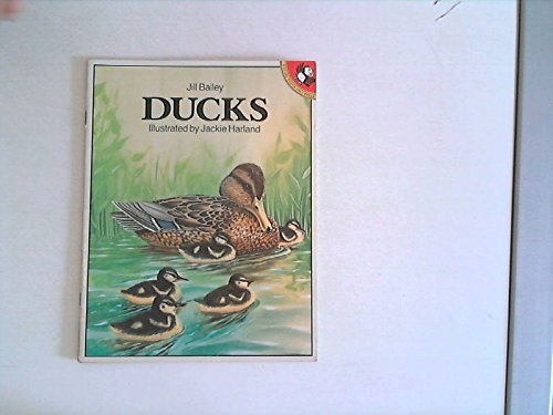 9780140542684: Ducks (Picture Puffin S.)