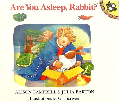 9780140544954: Are You Asleep, Rabbit