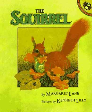 9780140549263: Squirrel (A Puffin Pied Piper)