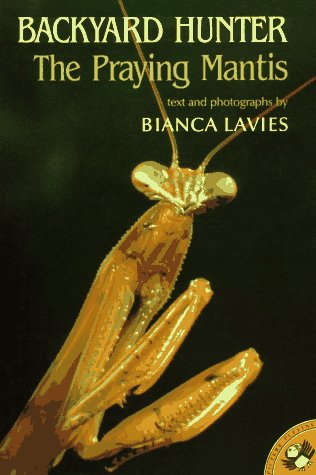 Imagen de archivo de Backyard Hunter: The Praying Mantis (Picture Puffins) a la venta por HPB Inc.
