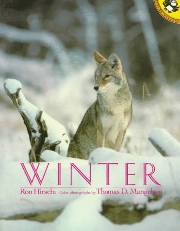 Imagen de archivo de Winter a la venta por Better World Books