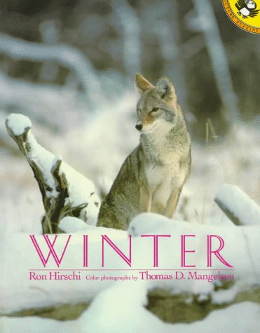 Stock image for Winter for sale by Better World Books