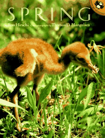 Beispielbild fr Spring (Picture Puffins) zum Verkauf von Jenson Books Inc