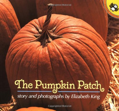 Stock image for The Pumpkin Patch (Picture Puffins) for sale by Jenson Books Inc