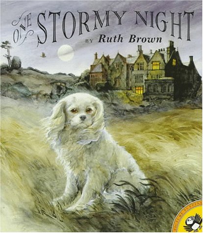 9780140562293: One Stormy Night