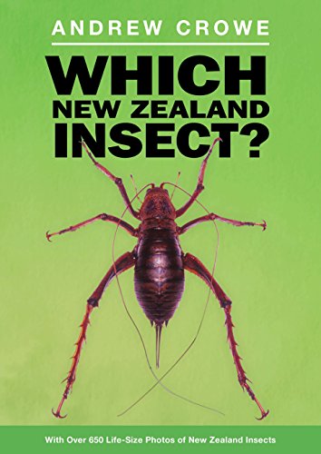 Beispielbild fr Which New Zealand Insect? zum Verkauf von Hoosac River Books
