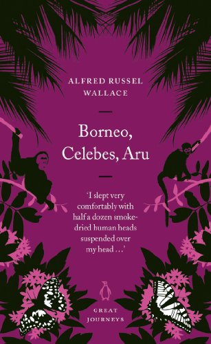 Beispielbild fr Borneo, Celebes, Aru (Penguin Great Journeys) zum Verkauf von WorldofBooks