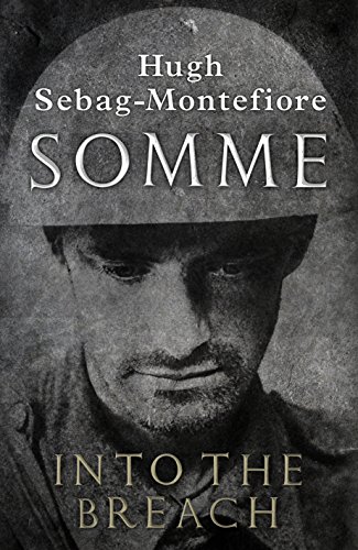 Stock image for Somme: Into the Breach for sale by WorldofBooks