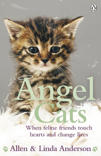 Imagen de archivo de Angel Cats: When feline friends touch hearts and change lives a la venta por AwesomeBooks