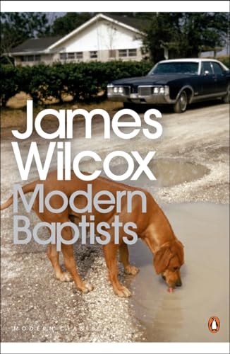 Imagen de archivo de Modern Baptists a la venta por WorldofBooks