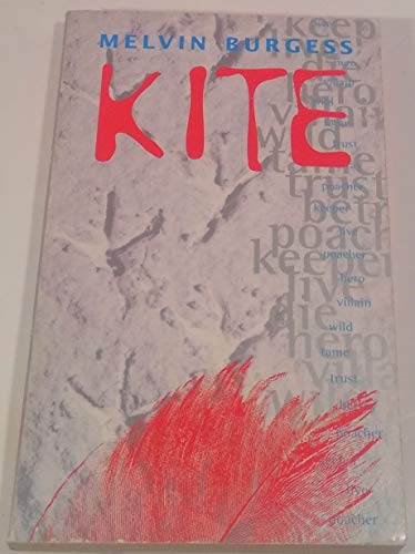 9780141300412: Kite (Puffin Teenage Fiction S.)