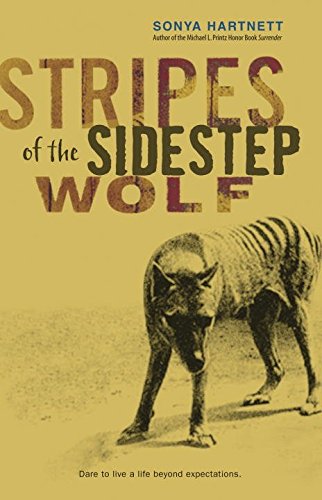 Stripes of the Sidestep Wolf.