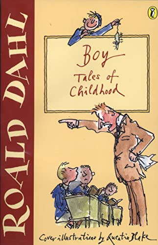 9780141311401: Boy: Tales of Childhood