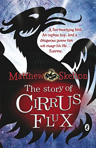 9780141320373: Story Of Cirrus Flux,The
