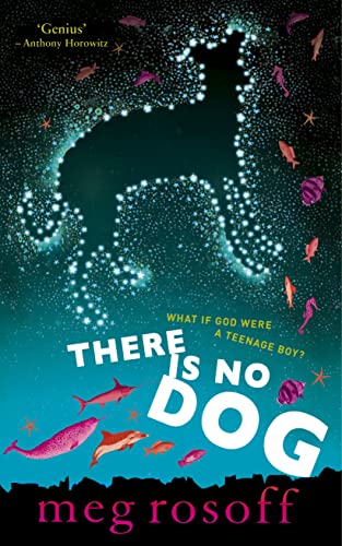 Stock image for There Is No Dog for sale by WorldofBooks