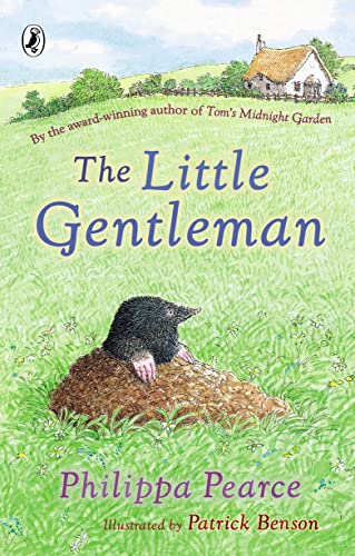 9780141380902: The Little Gentleman