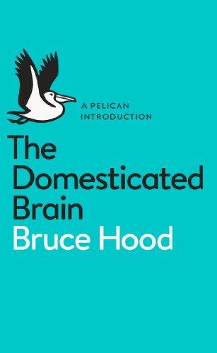 Imagen de archivo de The Domesticated Brain: A Pelican Introduction (Pelican Books) a la venta por WorldofBooks