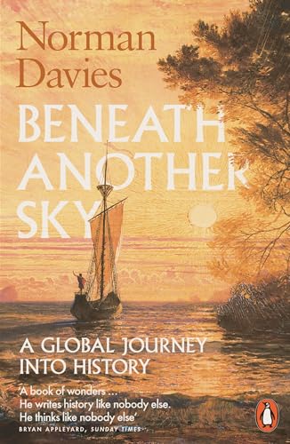 Imagen de archivo de Beneath Another Sky: A Global Journey into History a la venta por WorldofBooks