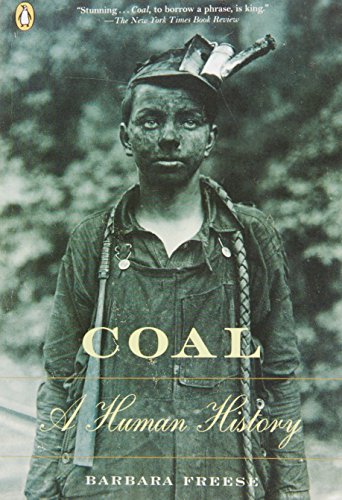 Coal: A Human History