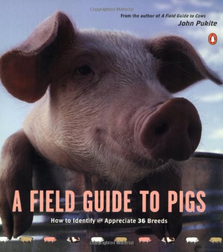 Stock image for A Field Guide to Pigs for sale by HPB-Ruby