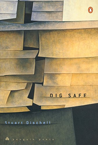 Beispielbild fr Dig Safe. zum Verkauf von Powell's Bookstores Chicago, ABAA