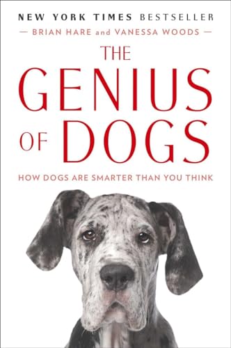 Beispielbild fr The Genius of Dogs: How Dogs Are Smarter Than You Think zum Verkauf von More Than Words