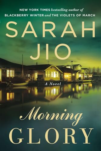 Beispielbild fr Morning Glory: A Novel zum Verkauf von Gulf Coast Books