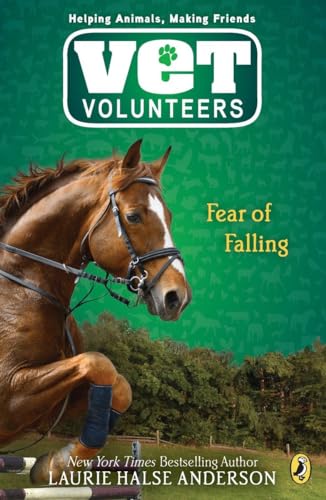 Beispielbild fr Fear of Falling (Vet Volunteers) zum Verkauf von SecondSale