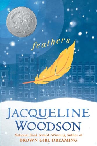 Stock image for Feathers (Pb) for sale by Universal Store