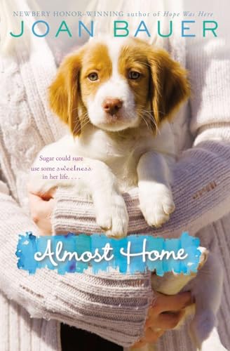 Imagen de archivo de Almost Home a la venta por WorldofBooks