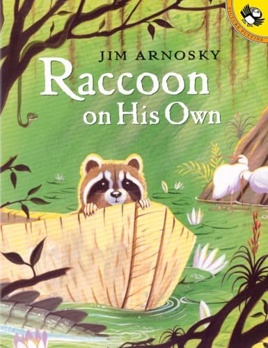 Stock image for Raccoon On His Own (Picture Puffin Books) for sale by SecondSale