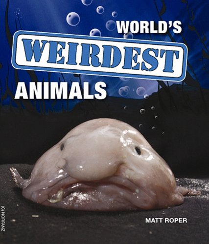 Stock image for Worlds Weirdest Animals for sale by Reuseabook