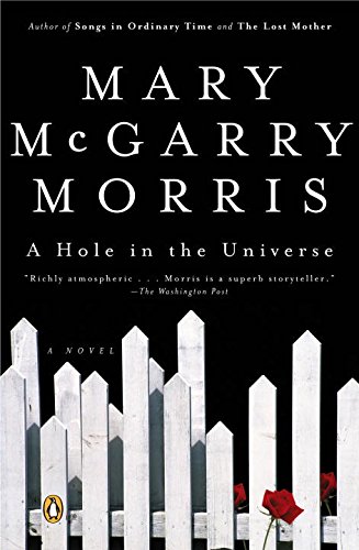 Beispielbild fr A Hole in the Universe zum Verkauf von ThriftBooks-Dallas