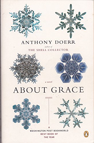 Stock image for About Grace: A Novel for sale by Wonder Book