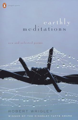 Imagen de archivo de Earthly Meditations : New and Selected Poems a la venta por Better World Books: West