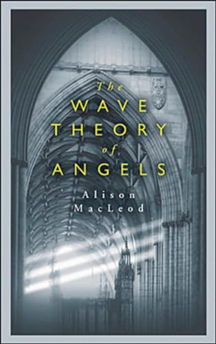 Beispielbild fr Wave Theory of Angels zum Verkauf von Better World Books