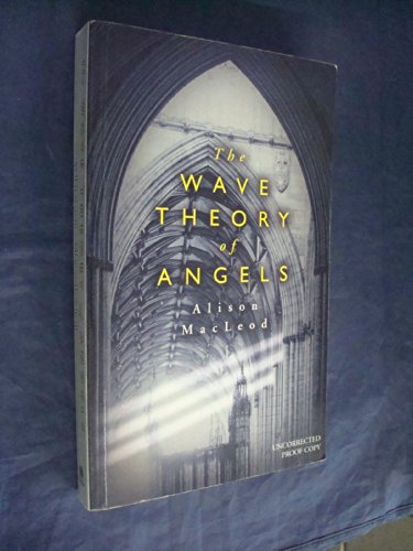 Imagen de archivo de Wave Theory of Angels a la venta por Irish Booksellers