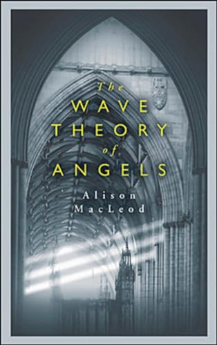 9780143051336: The Wave Theory of Angels